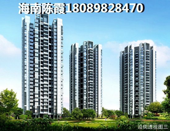 海南天成铂金海寓鸟瞰图 海南天成铂金海寓鸟瞰图