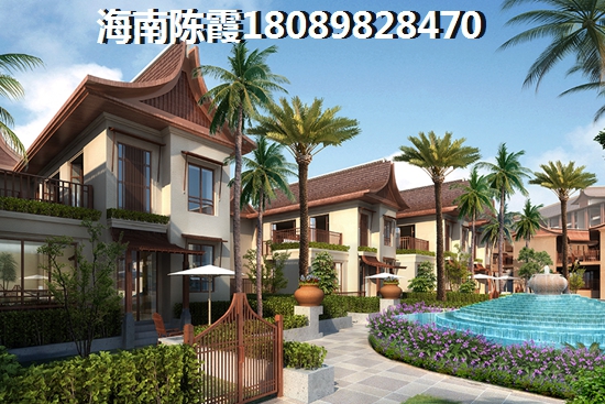 海南天成铂金海寓