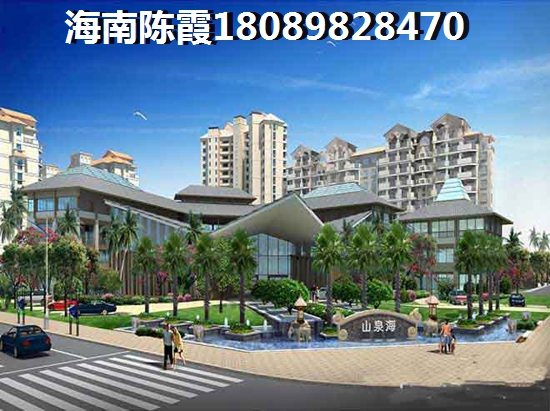 海南天成铂金海寓