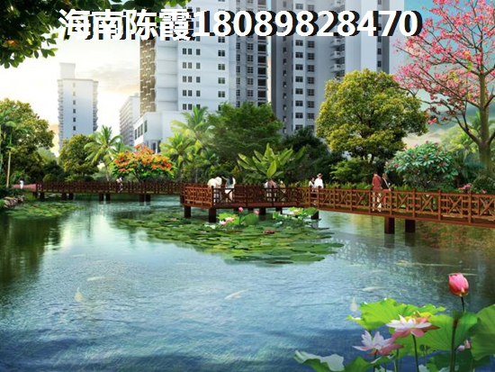 海南天成铂金海寓