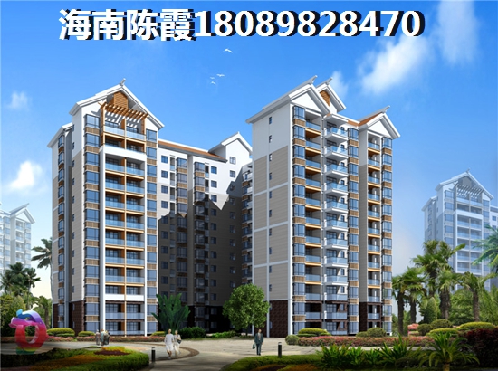 海南海的理想 海南海的理想