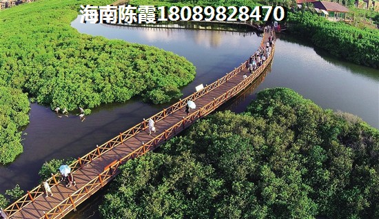 海南清澜茗都