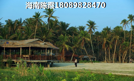 宇诚·椰风浪琴
