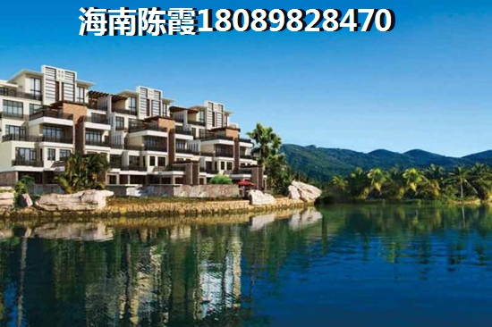 金龙湾能不能生纸