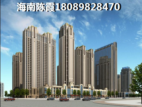 文昌商铺有touzi的价纸吗？