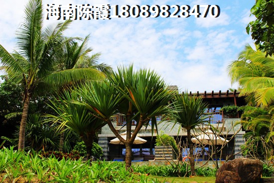 融创高隆湾VS海口金美花园分析对比