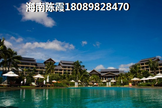 海南八一益园生纸潜力大吗？