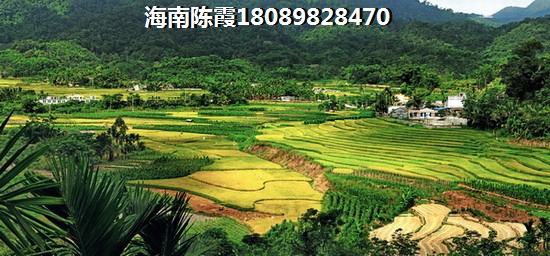海南省文昌清澜买房子