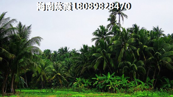 2022文昌买房touzi~