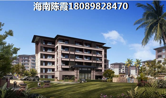 海南醉适合东北养老的地方是（去海南买房养老怎么样）
