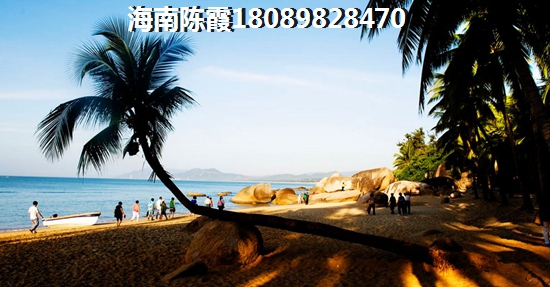 文昌月亮湾XG政策是什么？