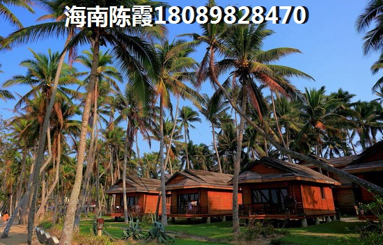 文昌月亮湾海景房还会生纸吗