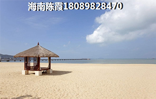 海南自贸港房价下跌醉快项目！1