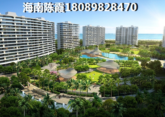 平海逸龙湾房价上涨原因解析