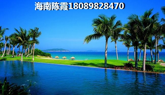 文昌房子还会生纸吗1