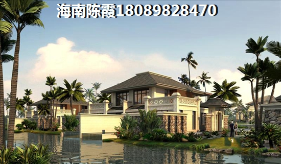 阳光东海岸“候鸟”的生活感受！2