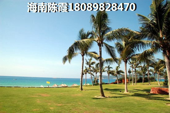 椰林山庄适合养老吗？气候潮湿吗？1