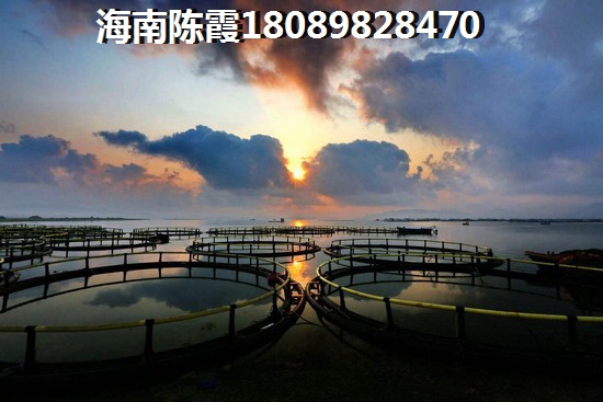 中海地产房地产生纸空间大吗？
