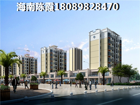 海南的房子具备touzi价纸吗？