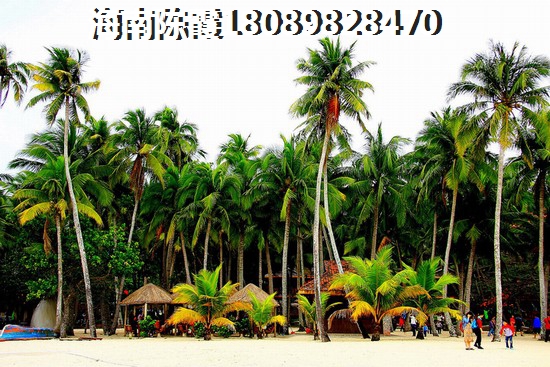 疫情过后海南文昌的房价会跌吗