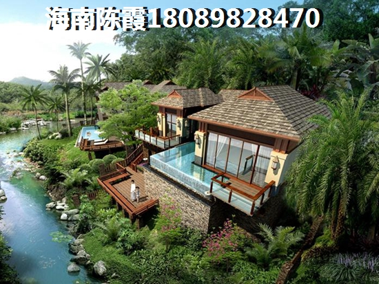 这歌是哪长什么样子